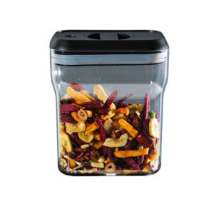 Recipient din Plastic, , pentru Alimente/Obiecte, Inchidere Ermetica Rotire 90 grade, 2l, 20.5 x 10.5 x 27 cm, Transparent