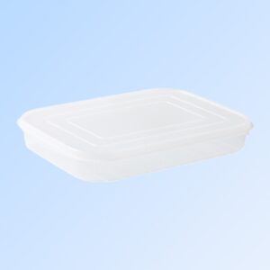 Cutie de depozitare de uz casnic, , Caserola pentru Frigider, Rezistenta la umiditate, Rezervor Sigilat pentru Depozitare Alimentara, 24.5 x 18.5 x 3.5cm, Alb Transparent