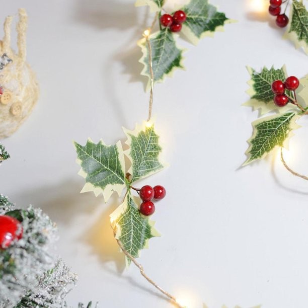 Instalatie Craciun cu baterii, 2 metri, 20 LED-uri tip fructe rosii, Alb Cald, Flippy - imagine 2