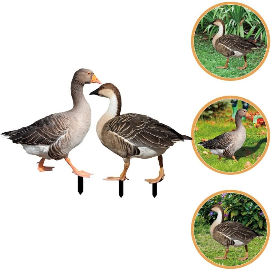 Decoratiune de Gradina, Flippy, Model Gasca Salbatica, Tip Placa, Grosime 3 mm, Fata-Verso, 27 x 30 cm, Maro - imagine 2