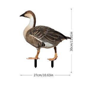 Decoratiune de Gradina, Flippy, Model Gasca Salbatica, Tip Placa, Grosime 3 mm, Fata-Verso, 27 x 30 cm, Maro