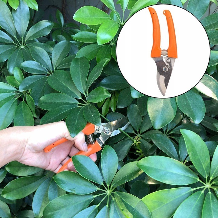 Set 12 Unelte de Gradina, Flippy, pentru Plantare Prelucrare Sol si Ingrijire Plante, Manere Portocalii, Material PVC si Cardboard, Cutie Inclusa, 37x28 cm, Negru - imagine 2